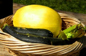 20110322_105922