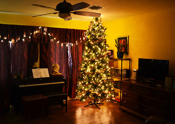 Oh Christmas Tree, Oh Christmas Tree!