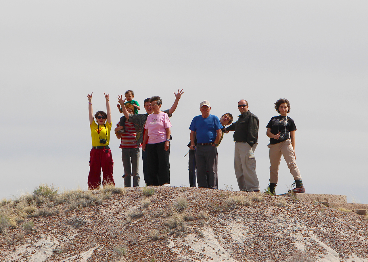 Sight-seeing: Petrified Forest