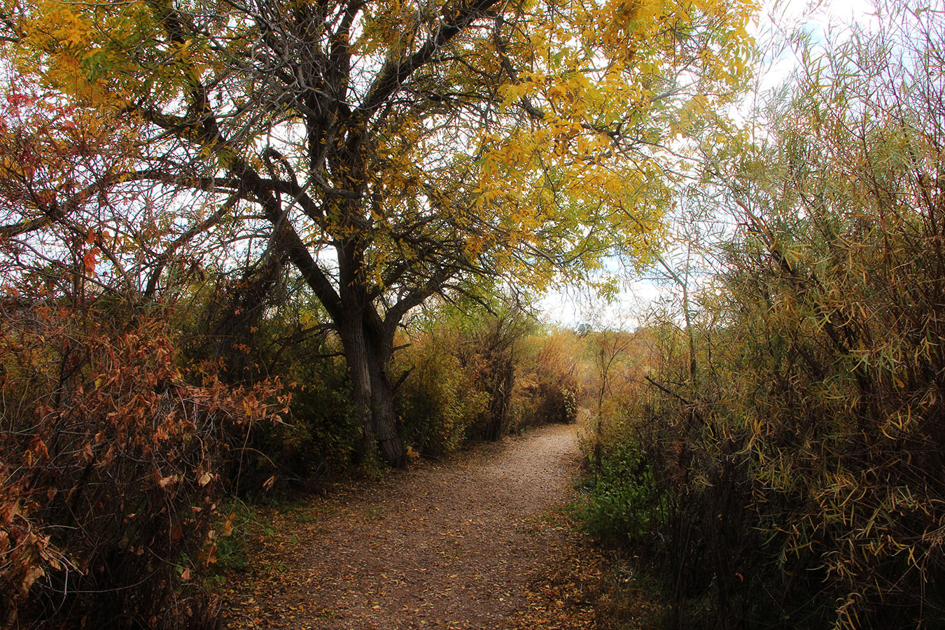 October at the Ranch 2014 — Part 2